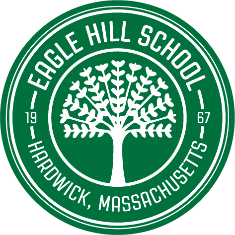 Eagle Hill logo